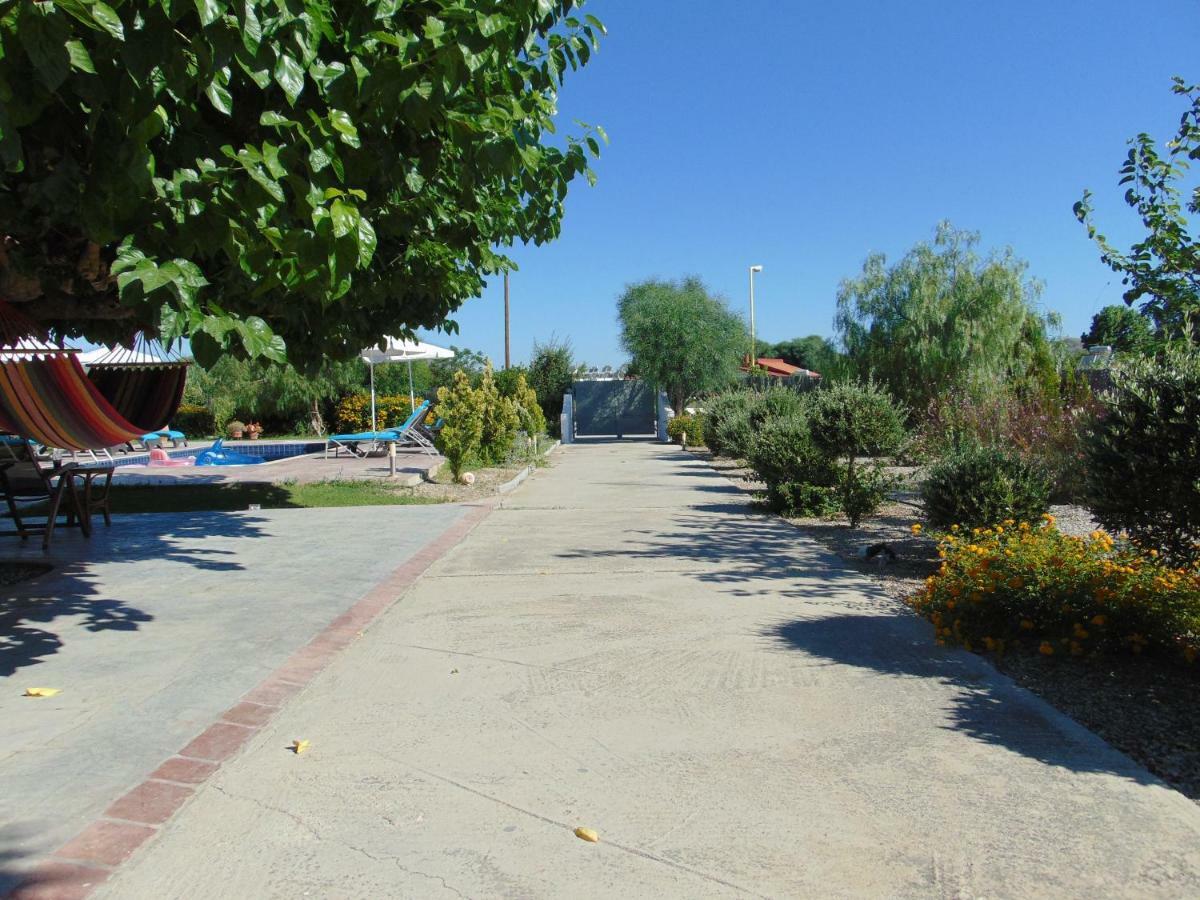 Villa Dora Faliraki Exterior foto